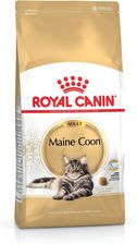 Royal Canin Maine Coon 31 10kg