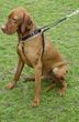 TRIXIE (1303) SzELKI DLA PSA EASY WALK- L