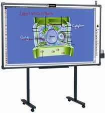 Interwrite DualBoard 1260 60