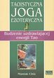 Taoistyczna joga ezoteryczna