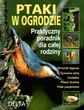 Ptaki w ogrodzie