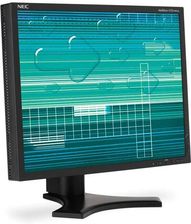 NEC SpectraView 2190UXp