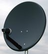 QORAB 80