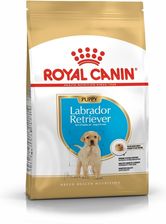 Royal Canin Labrador Retriever 33 Junior 12kg