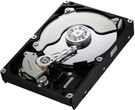Samsung SpinPoint F3 1TB 32MB 7200rpm SATA2 3,5cala (HD103SJ)