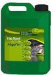 Tetra Pond AlgoFin - zwalcza glony w stawie 3l