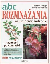 ABC rozmnażania roślin przez sadzonki