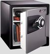 SentrySafe MSW 3110