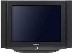 Samsung CW-29Z338T