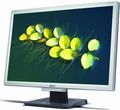 Acer AL2216Wsd