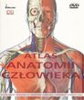 Atlas anatomii człowieka