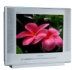 Panasonic TX-21PZ1P