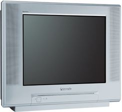 Panasonic TX-21PZ1P