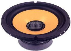 Hertz EV 165