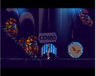 Another World (Gra PC)