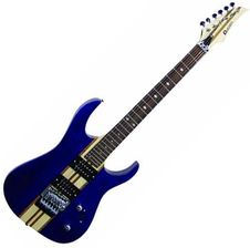 Dimavery FR-520 Wholebody