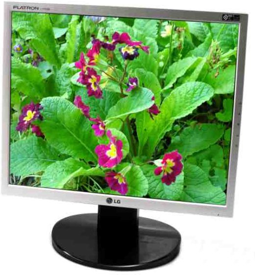 Lg Flatron L1753S