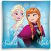  Detexpol Disney Poszewka na jasiek 3D 40x40 cm Frozen Sisters rules!