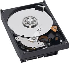 Western Digital Caviar Green 1,5TB SATA2 64MB 3,5cala (WD15EARS)