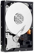 Western Digital Caviar Green 1TB 64MB SATA2 3,5cala (WD10EARS)