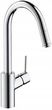 Hansgrohe Allegra Variarc 14870000