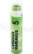 Boiron Carduus marianus, 5 CH, gran., 4 g