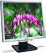 Acer AL1716F