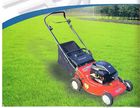 Faworyt CJ46BS500N