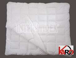Inter Widex Kołdra Cztery Pory Roku 200 x cm 