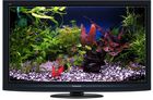 PANASONIC TX-P50G20E PANASONIC TX-P50G20E