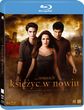 Zmierzch: Księżyc w nowiu (The Twilight Saga: New Moon) (Blu-ray)