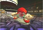 Sonic Riders (Gra PC)