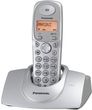 Panasonic KX-TG1100PD