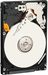 Western Digital CAVIAR 120GB 7200rpm ATA/100 8MB Wewnętrzny (WD1200BEVE)