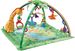 Fisher Price Mata edukacyjna z pałą...<br/>od 249,00 zł