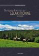 Najpiękniejsze szlaki konne w Polsce