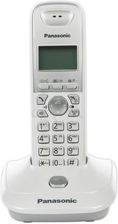 PANASONIC KX-TG2511PDW
