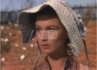 Przeminęło z wiatrem (Gone with the Wind) (DVD)