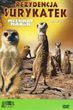 Discovery. Rezydencja surykatek DVD