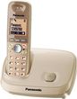 Panasonic KX-TG6511PDJ