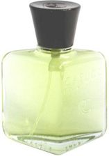 Capucci Capucci Pour Homme Woda toaletowa 100 ml spray
