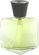 Capucci Capucci Pour Homme Woda toaletowa 100 ml spray
