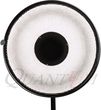Quantuum Plaster Miodu do Beauty Dish 55cm