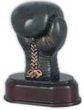 Trofea sportowe