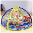 Fisher Price Mata Do Zabawy Ocean Wonders T4264
