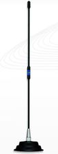 President antena Florida