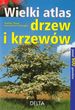 Wielki atlas drzew i krzewów
