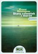 Stary człowiek i morze.CD