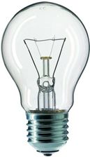 Żarówka 24V E27 100W