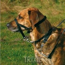 TRIXIE (13003) UPRZĄŻ TOP TRAINER M/2 27CM